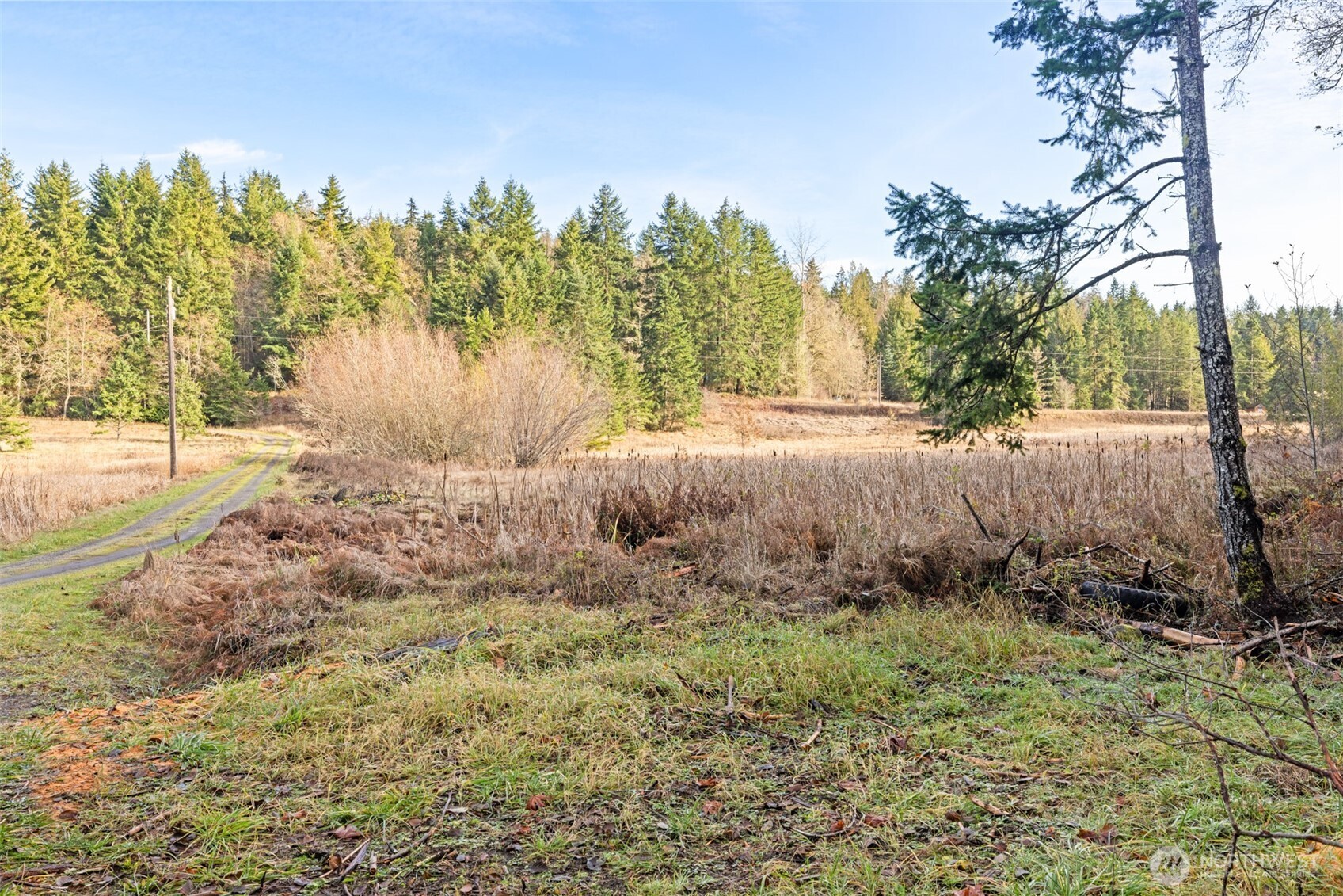 -nka Lost Mountain Road Sequim, WA 98382 - Photo 2 of 29