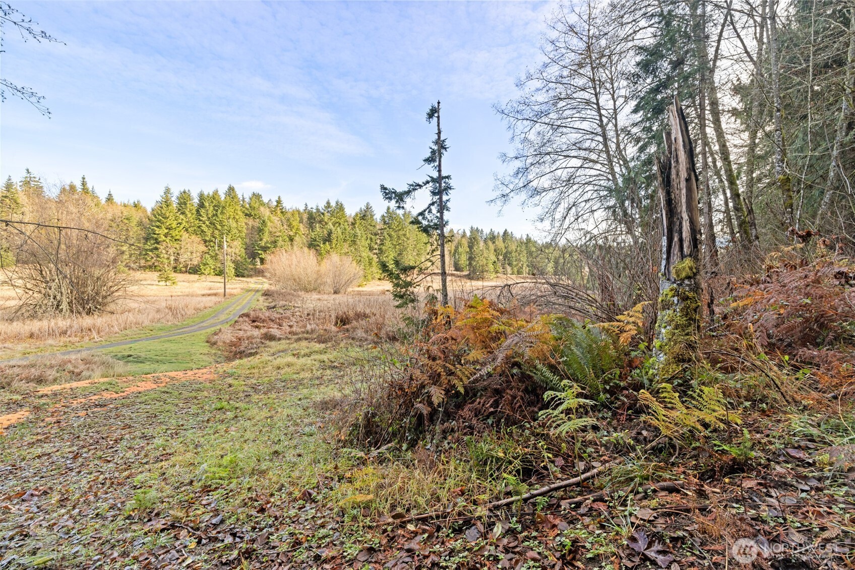 -nka Lost Mountain Road Sequim, WA 98382 - Photo 3 of 29
