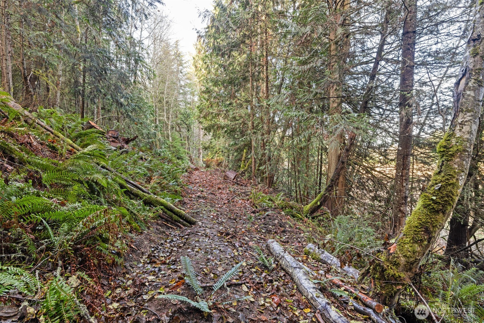 -nka Lost Mountain Road Sequim, WA 98382 - Photo 5 of 29