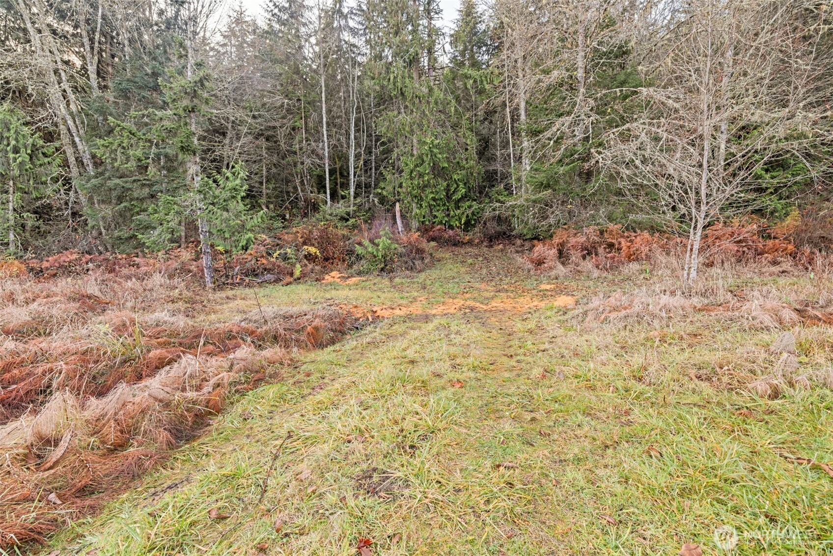 -nka Lost Mountain Road Sequim, WA 98382 - Photo 6 of 29