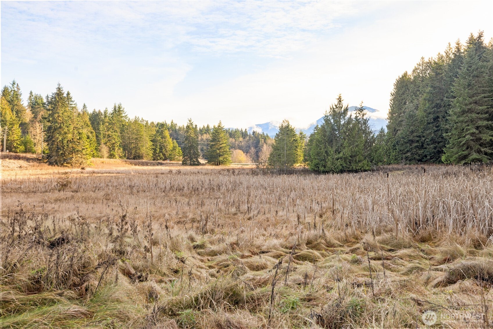 -nka Lost Mountain Road Sequim, WA 98382 - Photo 8 of 29