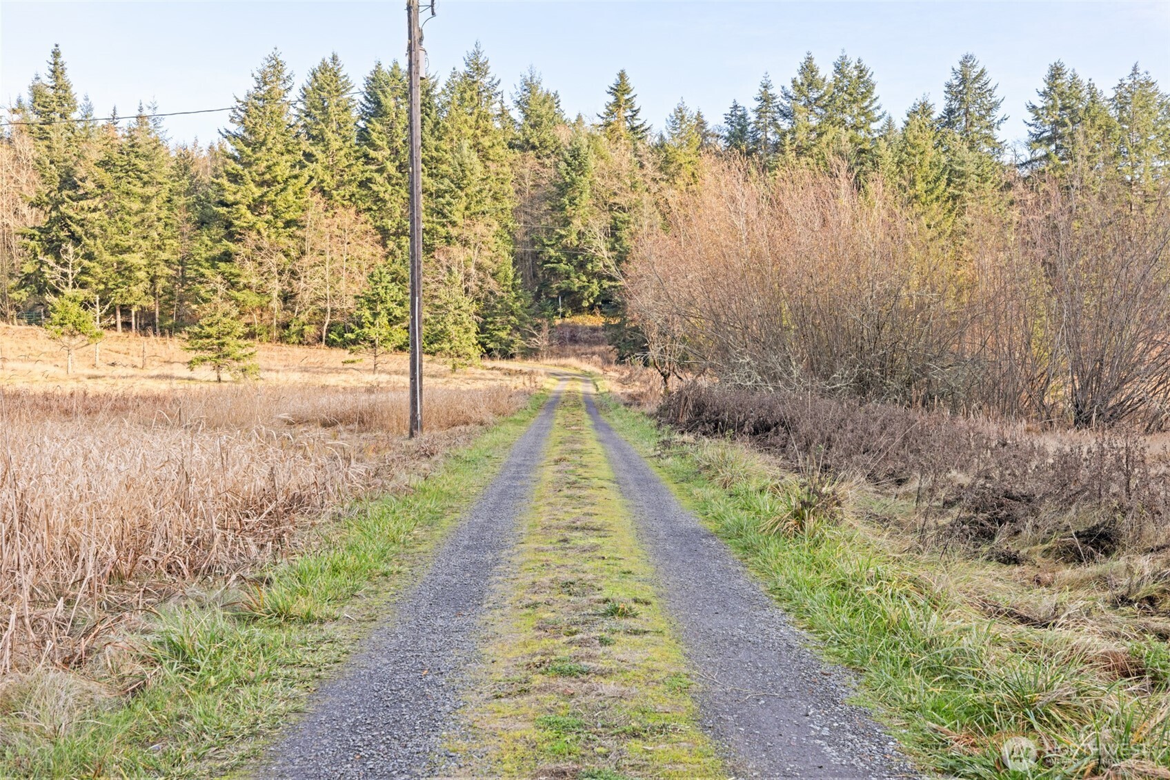 -nka Lost Mountain Road Sequim, WA 98382 - Photo 9 of 29