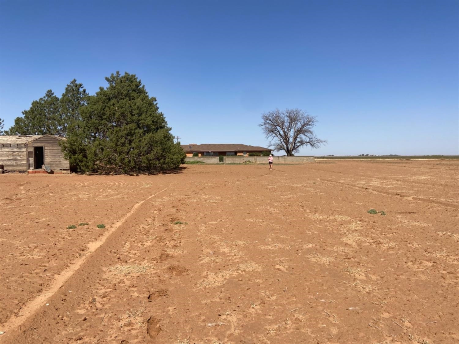 5976 Farm To Market 41 Ropesville, TX 79358 - Photo 32 of 33 Photo 32