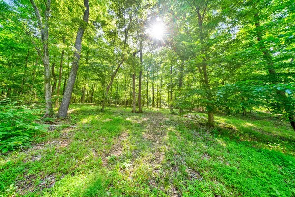 $3,000 | 6466 Highway 48 North, Cumberland Furnace, TN 37051