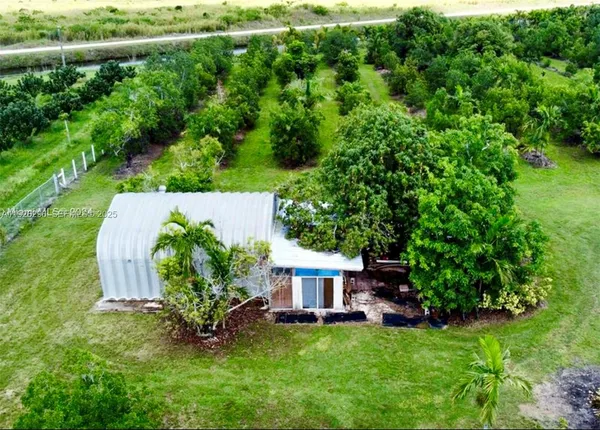 a view of a backyard with a palm tree