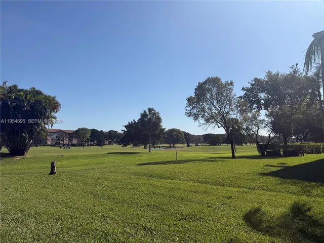 a view of a park with large trees