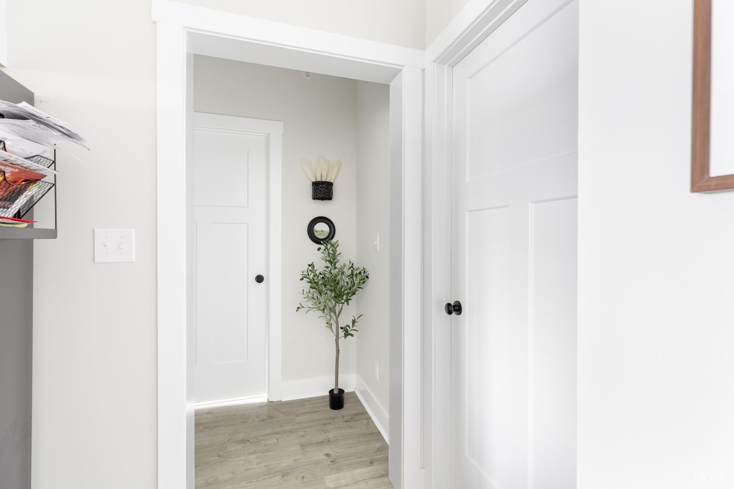 1301 Stoney Ridge Boulevard, Unit 208 Forest, VA 24551 - Photo 30 of 46 a view of an entryway with a potted plant