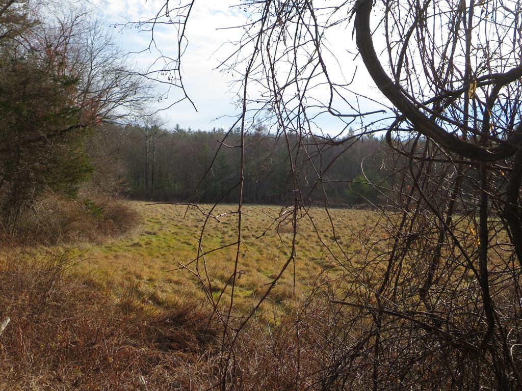 Lot 19 Bumstead/robbins Road Monson, MA 01057 - Photo 3 of 3