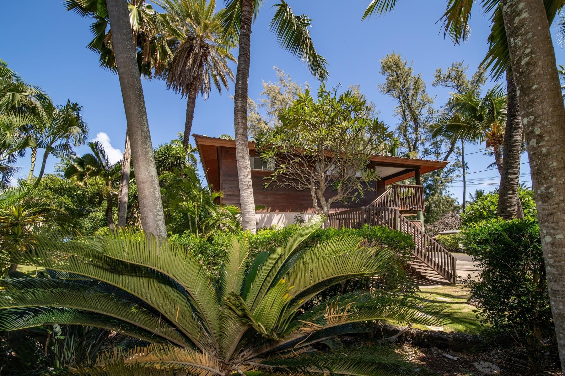 590 Stable Road, Unit C & D Paia, HI 96779 - Photo 15 of 30 a plant is sitting in front of a house