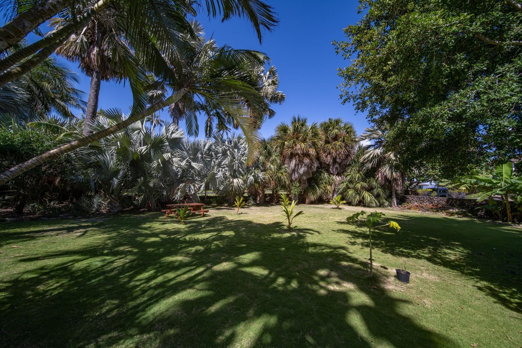 590 Stable Road, Unit C & D Paia, HI 96779 - Photo 17 of 30 a backyard of a house with a tree