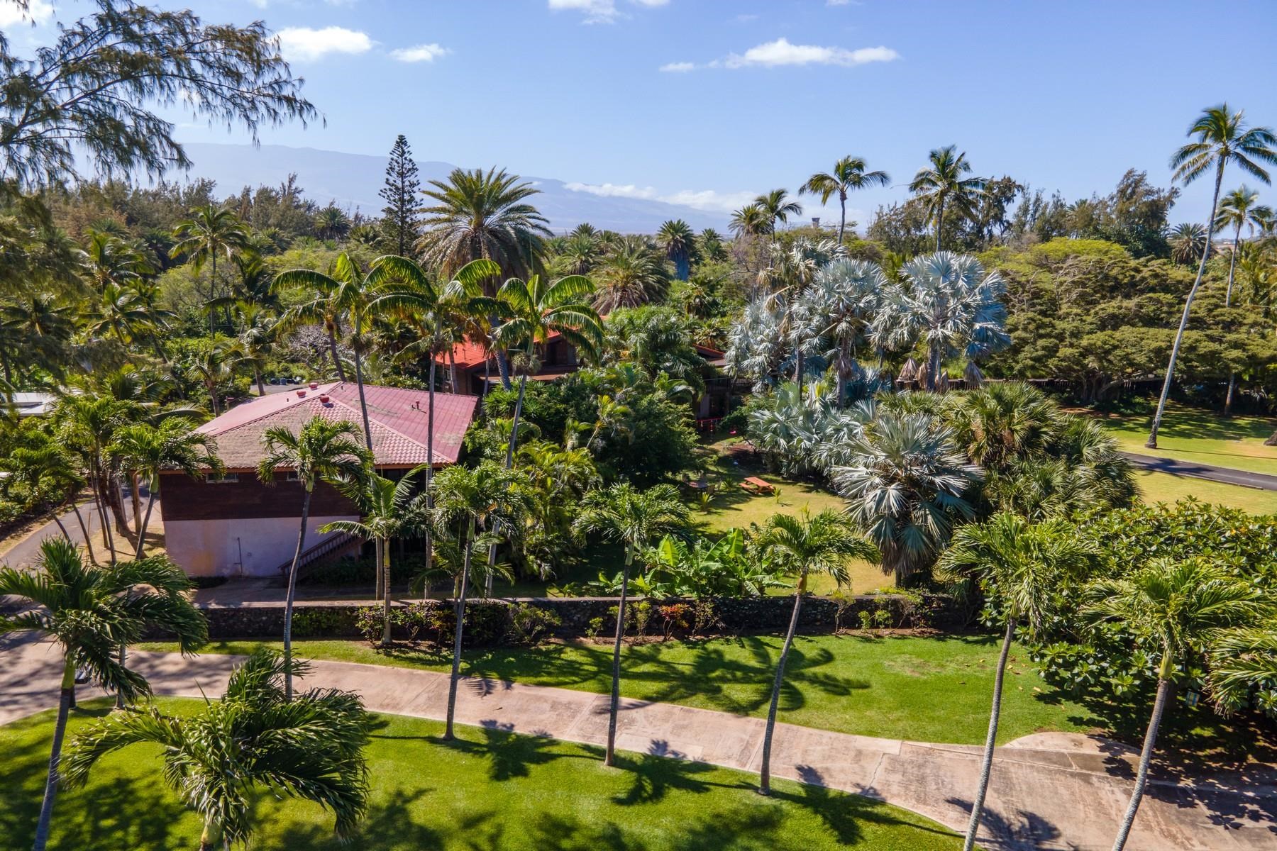 590 Stable Road, Unit C & D Paia, HI 96779 - Photo 2 of 30 a view of a backyard