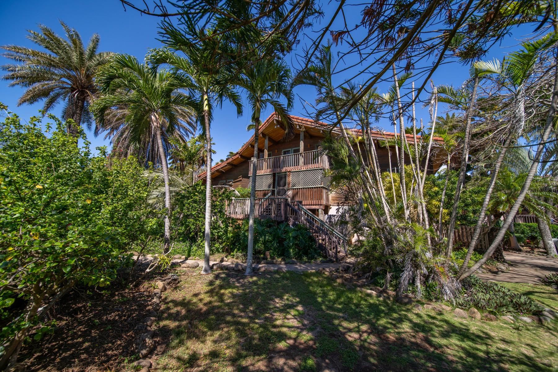590 Stable Road, Unit C & D Paia, HI 96779 - Photo 23 of 30 a view of a palm trees in front of a house