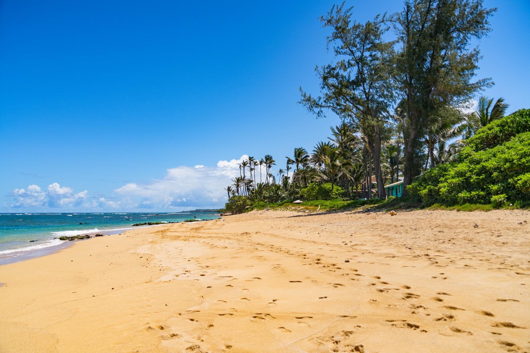 590 Stable Road, Unit C & D Paia, HI 96779 - Photo 26 of 30 a view of ocean view with beach