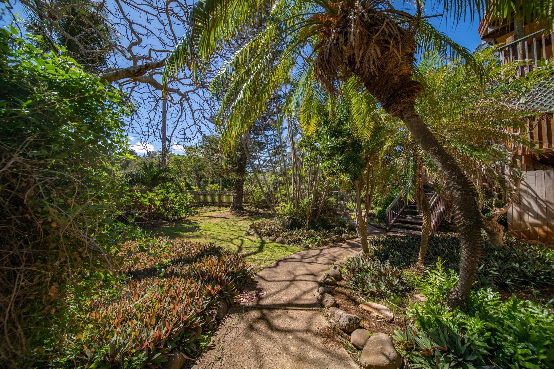 590 Stable Road, Unit C & D Paia, HI 96779 - Photo 29 of 30 a backyard of a building with lots of trees