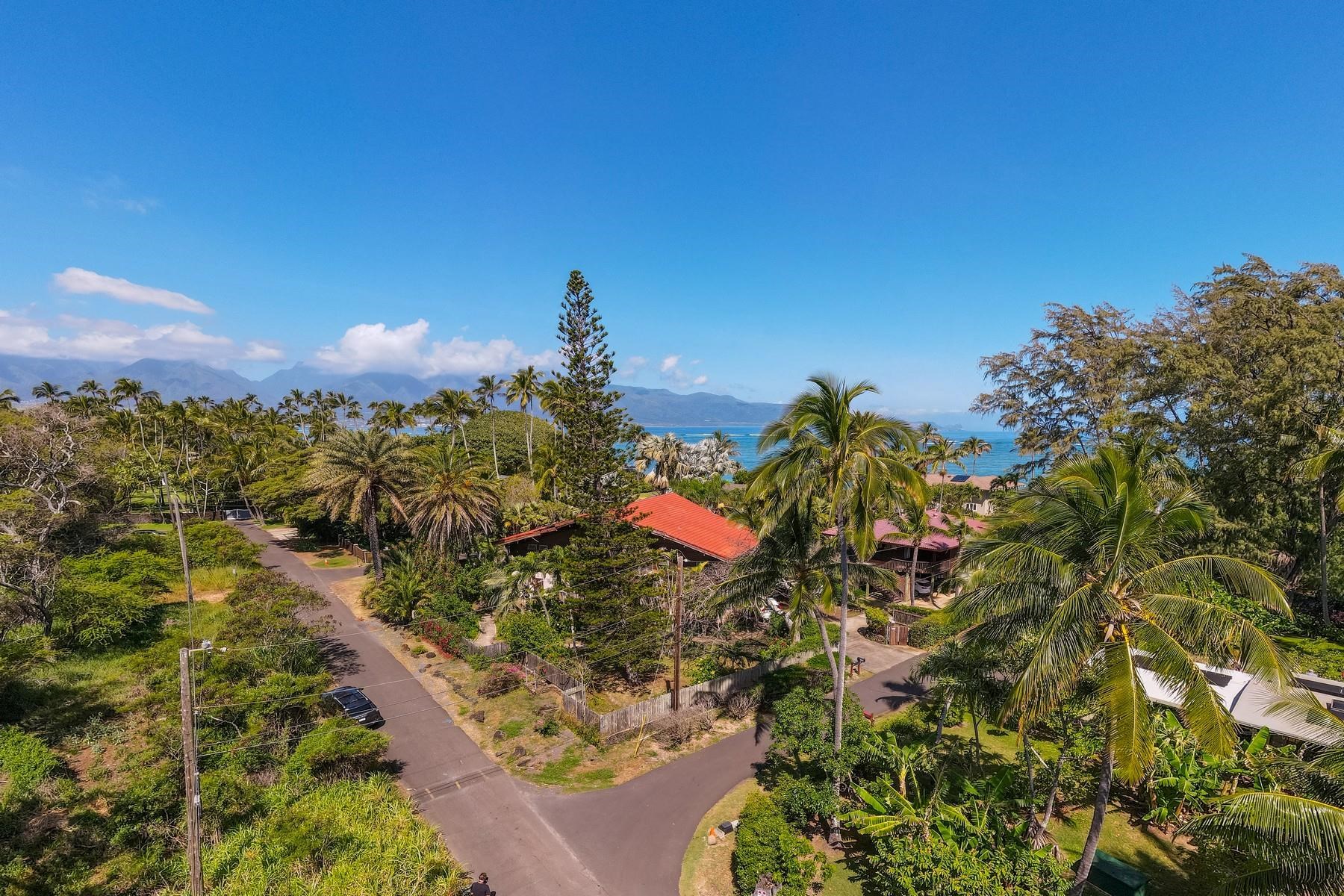 590 Stable Road, Unit C & D Paia, HI 96779 - Photo 30 of 30 a view of a garden