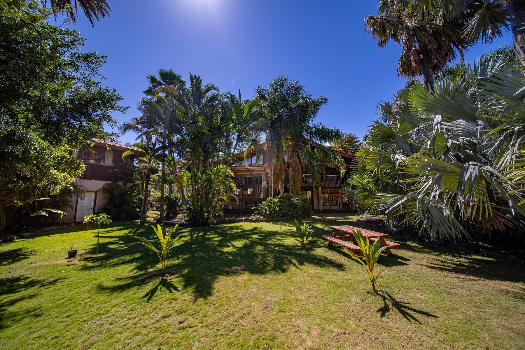 590 Stable Road, Unit C & D Paia, HI 96779 - Photo 3 of 30 a view of swimming pool with a yard
