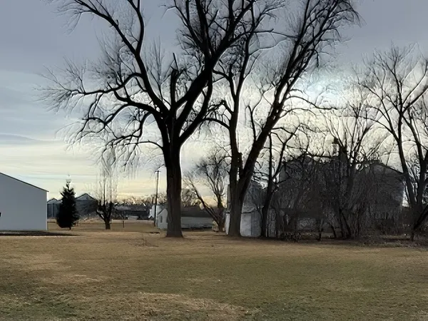 $19,999 | 329 2nd Street North, Browns Valley, MN 56219