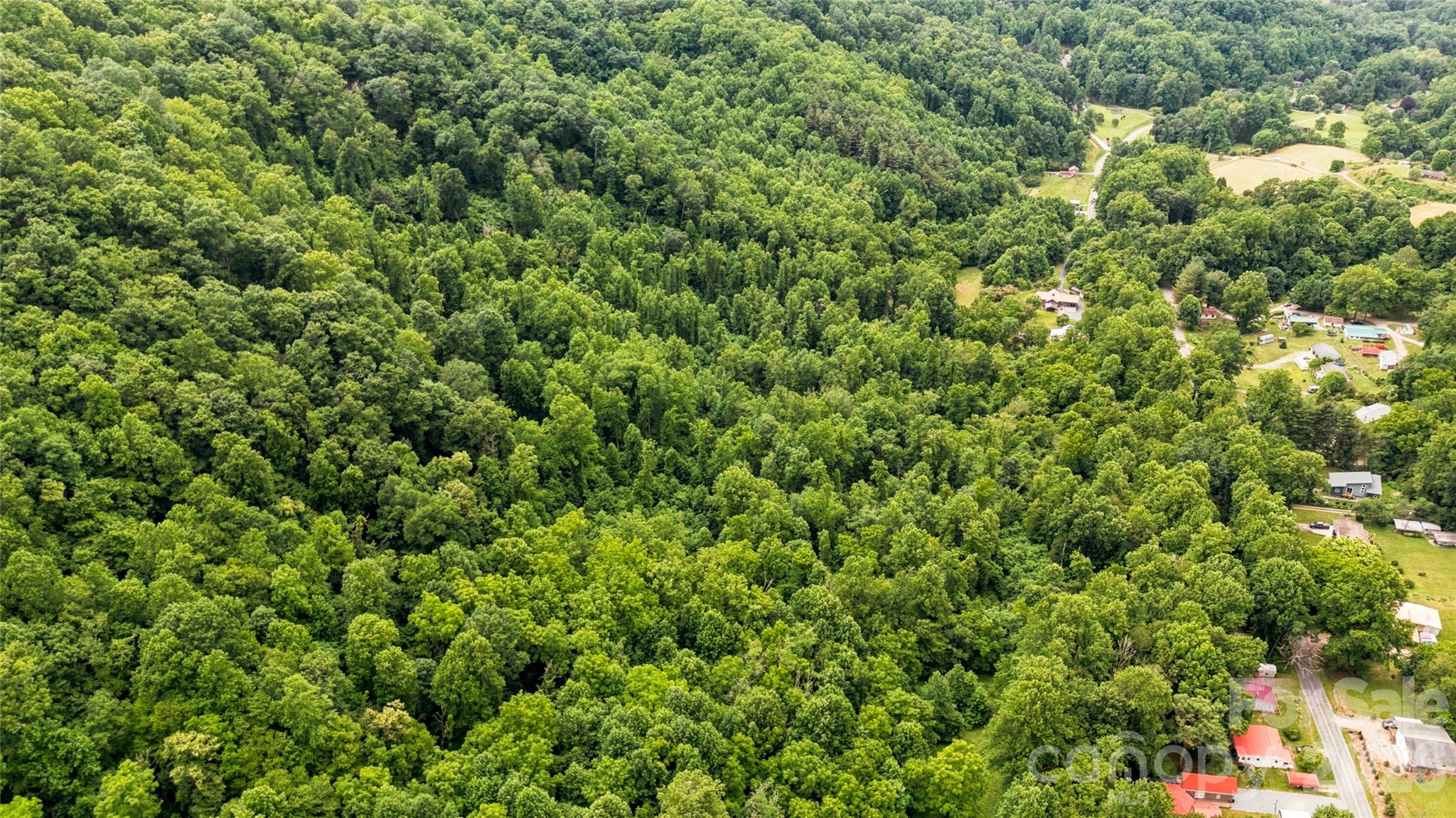 0 Fisher Creek Road Sylva, NC 28779 - Photo 5 of 18