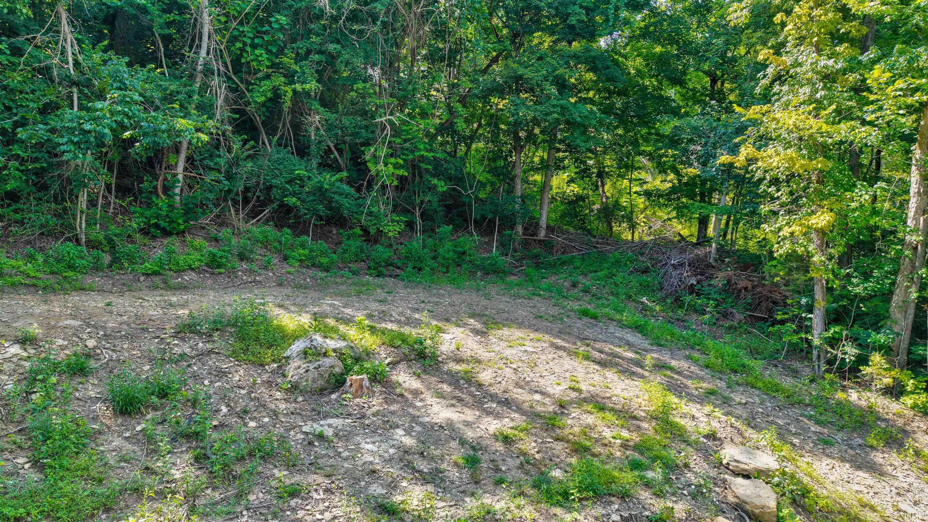 18040 Magnet Valley Road Cannelton, IN 47520 - Photo 9 of 30 Gallery Image 9