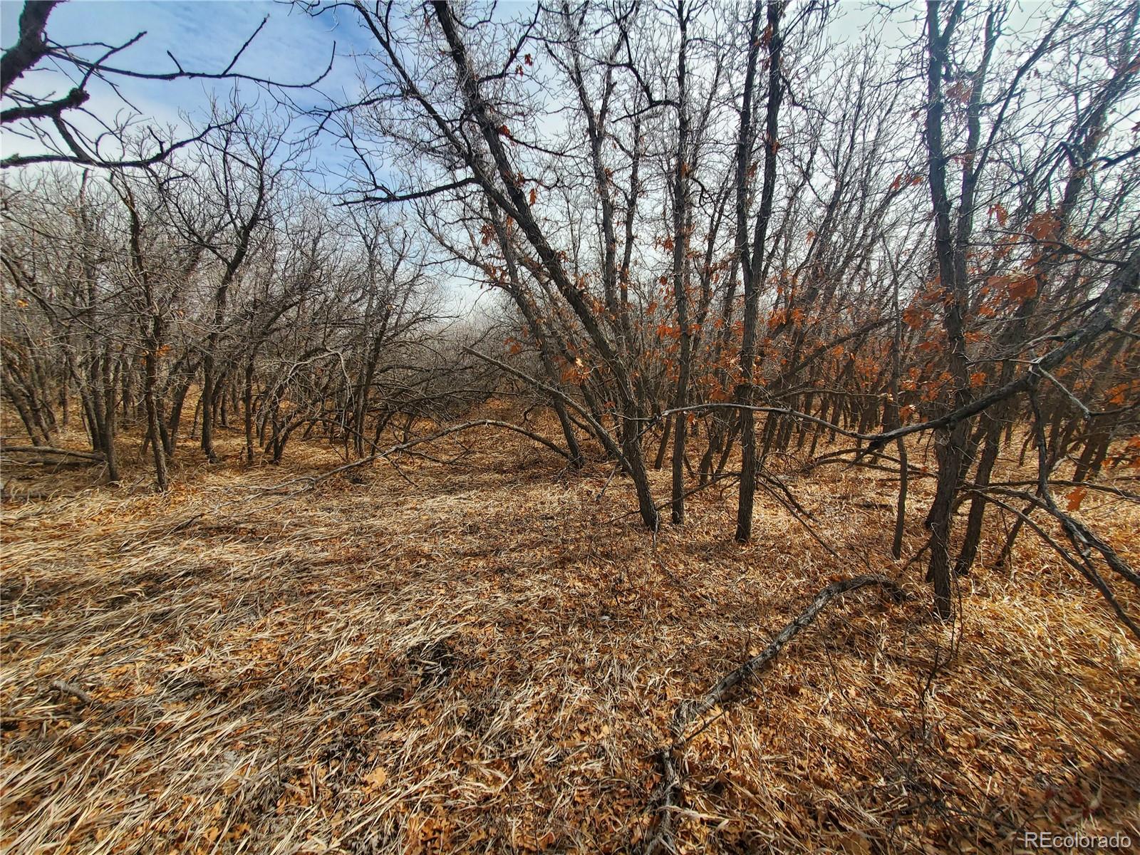 0 Thacker Road Rye, CO 81069 - Photo 4 of 6