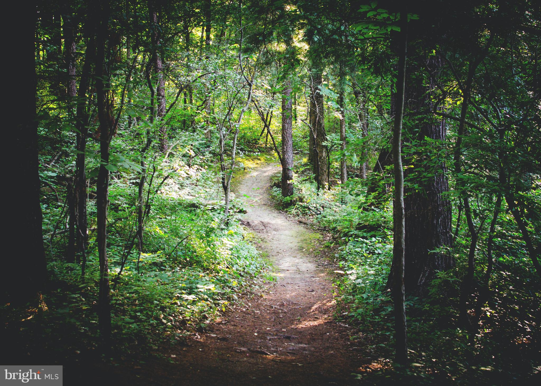 9401 Ox Road Lorton, VA 22079 - Photo 46 of 51 Enjoy miles of hiking & biking trails