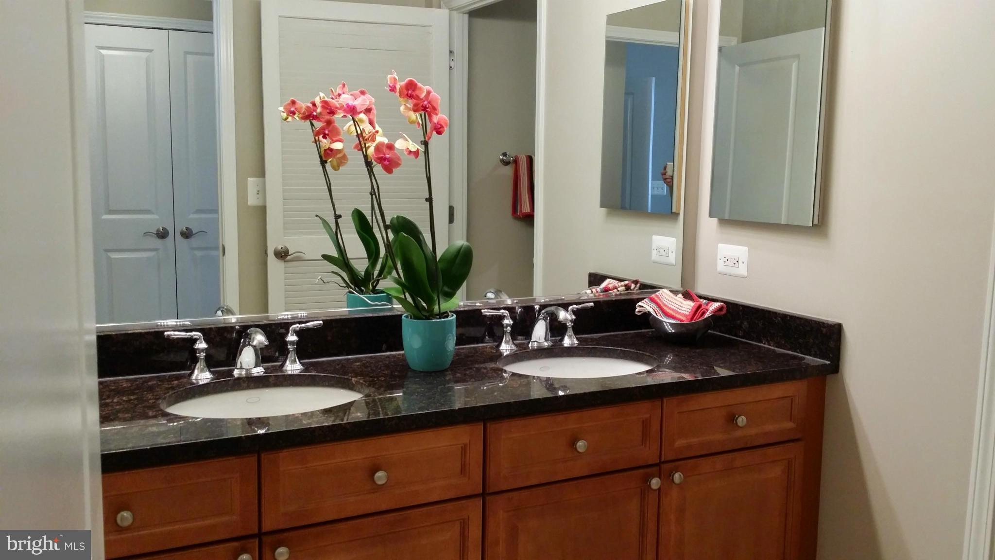 11700 Old Georgetown Road, Unit 1410 North Bethesda, MD 20852 - Photo 11 of 29 Master Bath