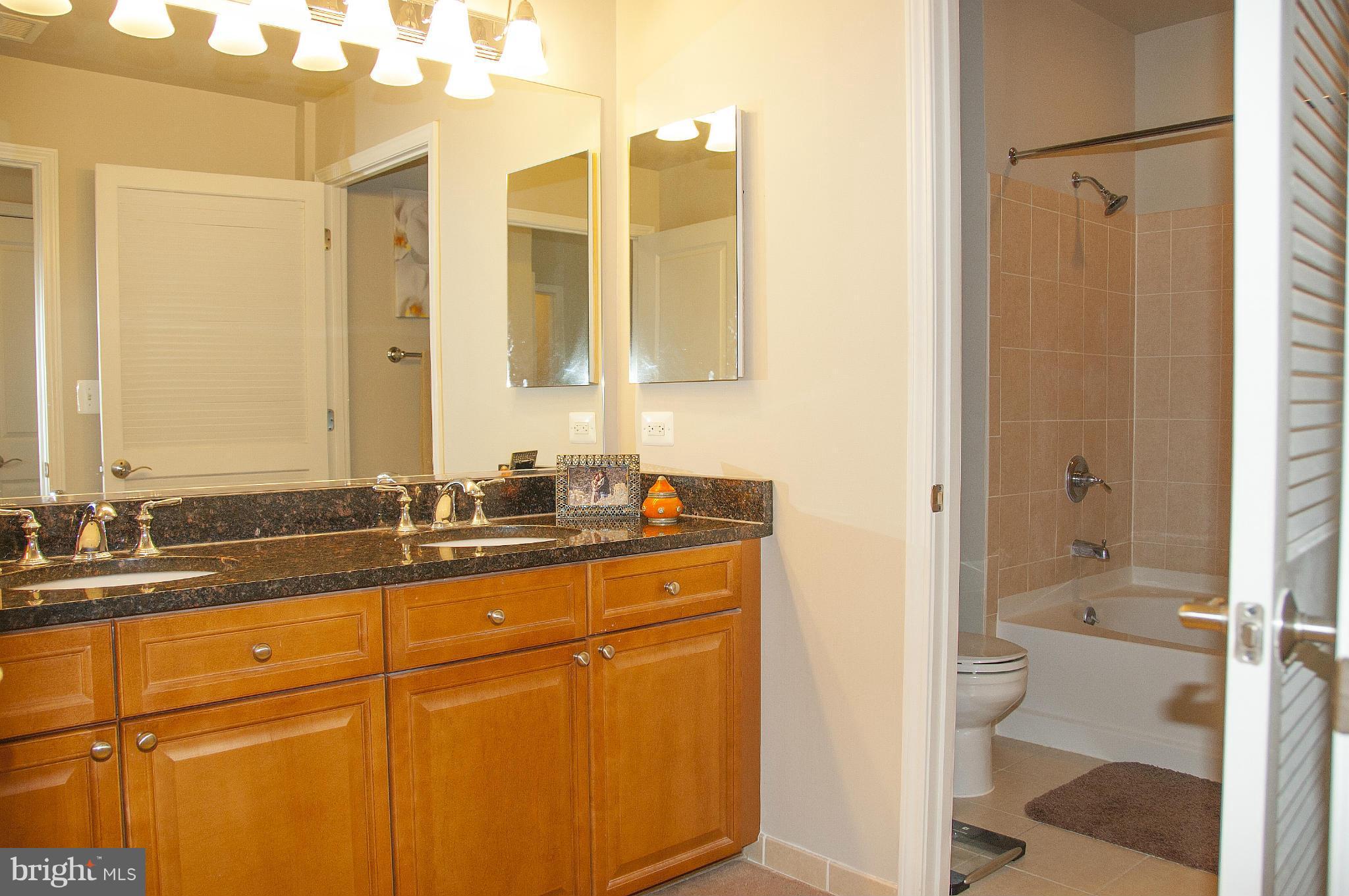 11700 Old Georgetown Road, Unit 1410 North Bethesda, MD 20852 - Photo 12 of 29 Bath (Master)