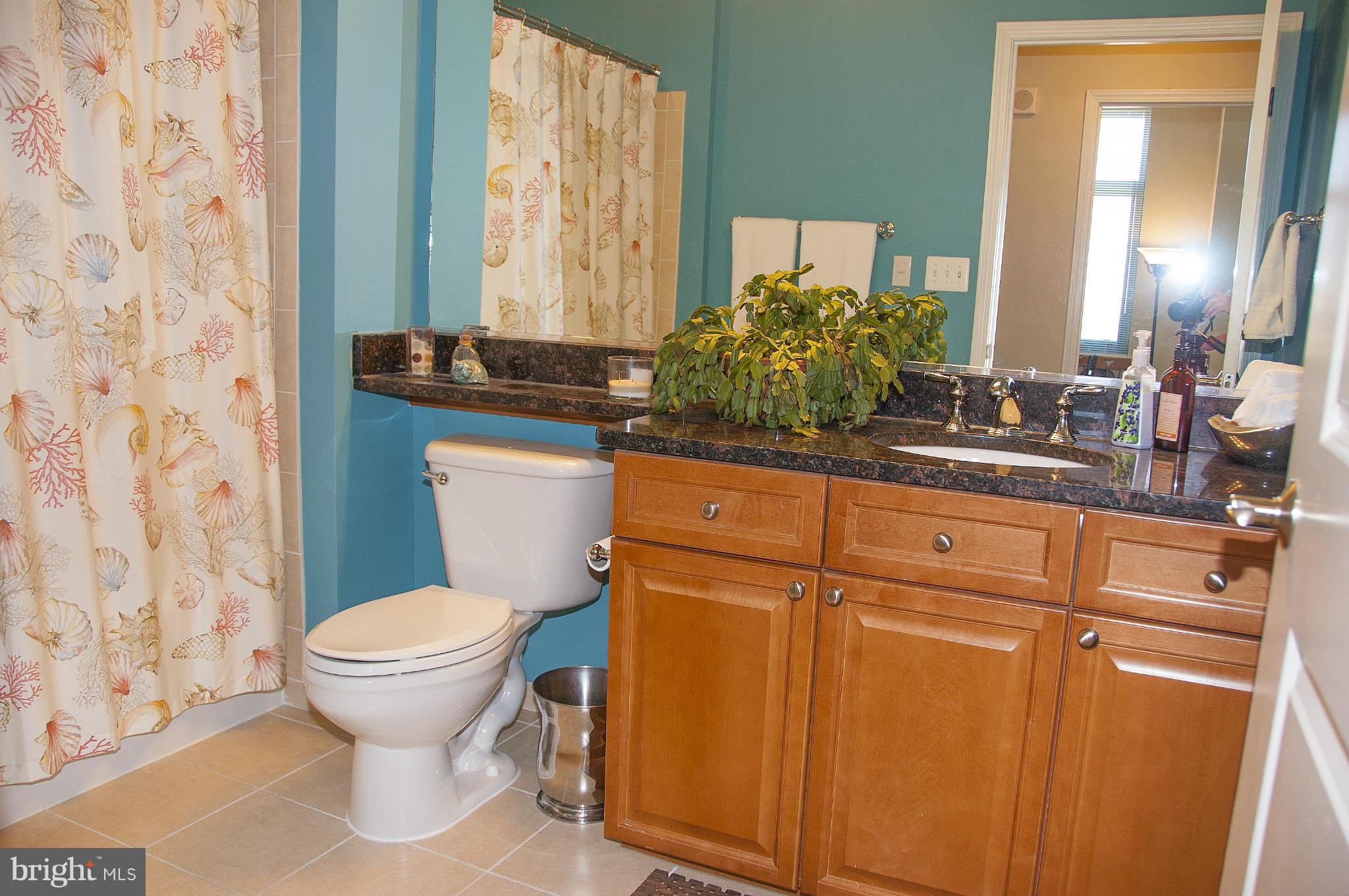 11700 Old Georgetown Road, Unit 1410 North Bethesda, MD 20852 - Photo 14 of 29 Bath