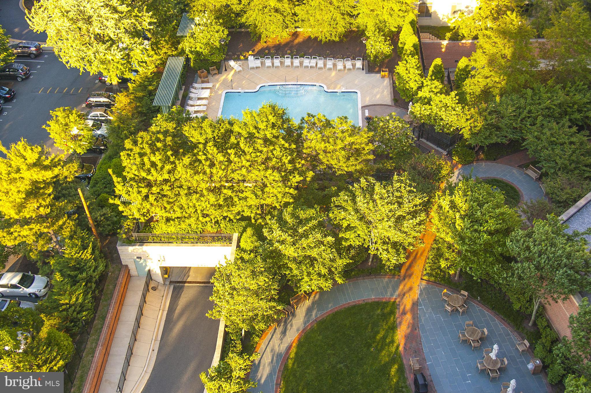 11700 Old Georgetown Road, Unit 1410 North Bethesda, MD 20852 - Photo 19 of 29 View of the Pool and Grounds