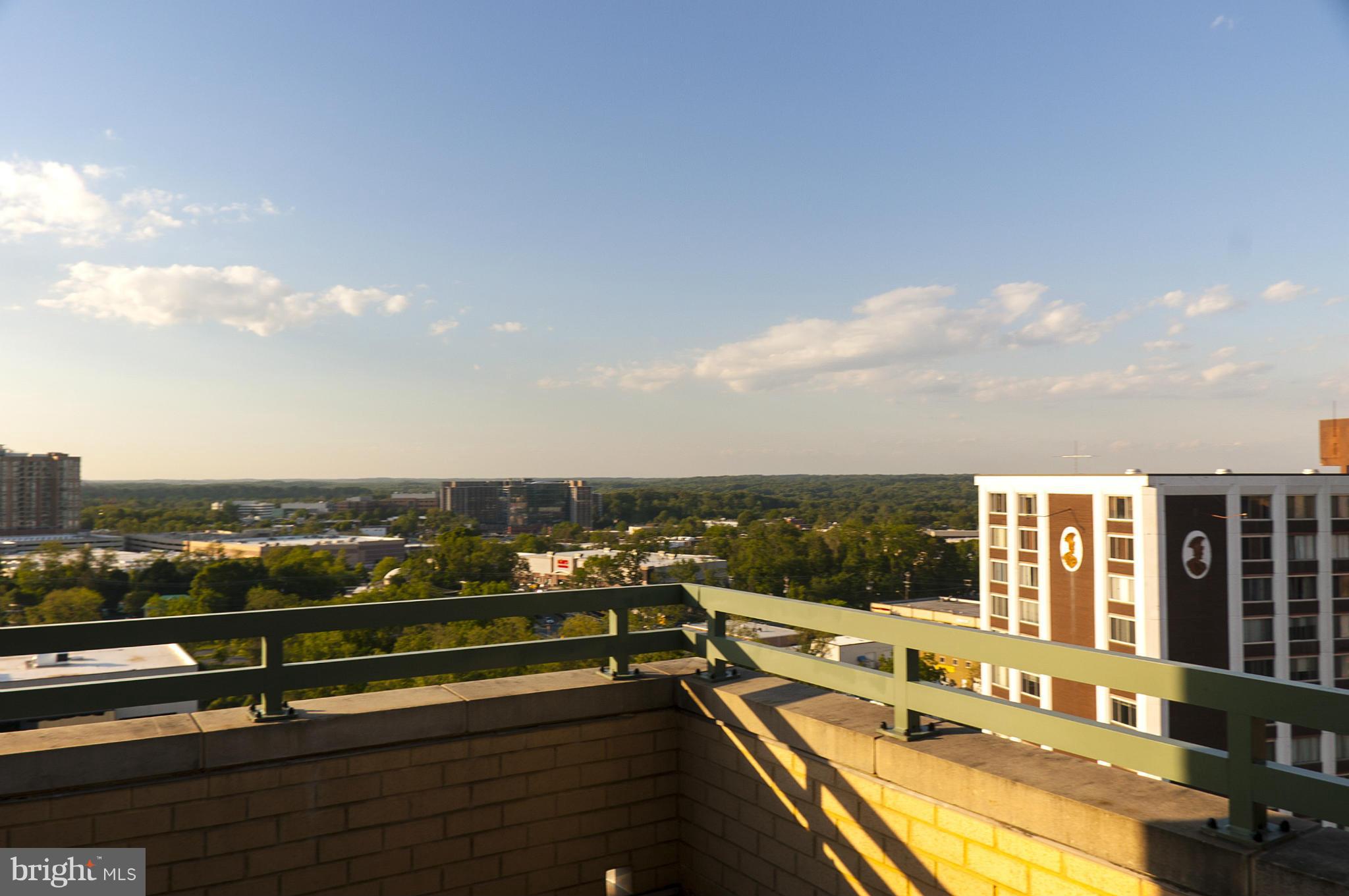 11700 Old Georgetown Road, Unit 1410 North Bethesda, MD 20852 - Photo 21 of 29 View from Patio