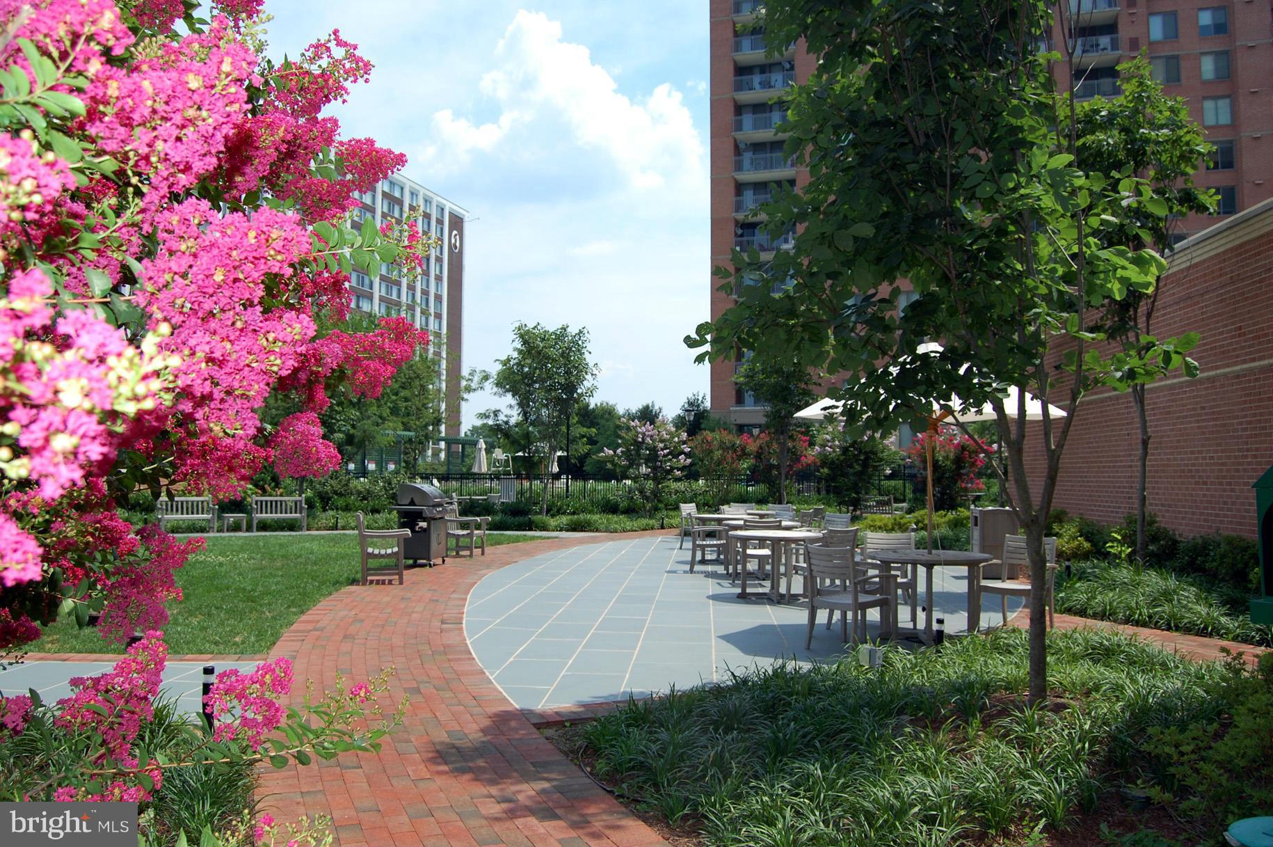11700 Old Georgetown Road, Unit 1410 North Bethesda, MD 20852 - Photo 22 of 29 Community BBQ Area and Gardens