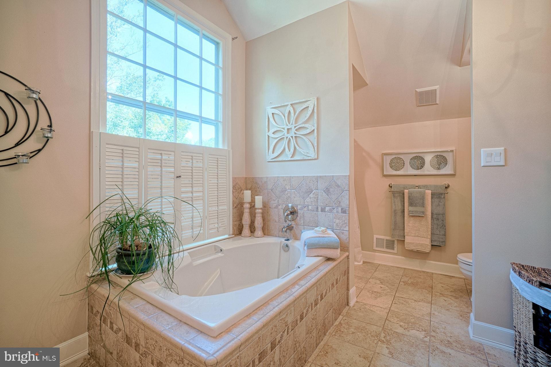 11603 Auburn Grove Court Reston, VA 20194 - Photo 18 of 28 Bath (Master)