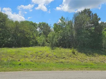 a view of a yard with a tree