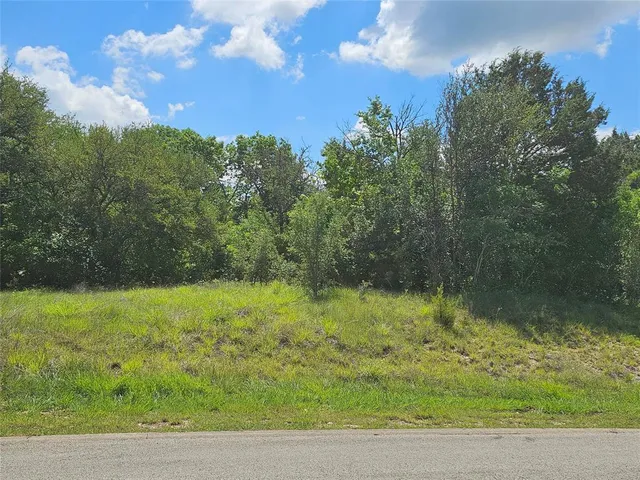 a view of a yard with a tree