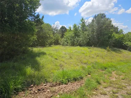 a view of outdoor space and trees