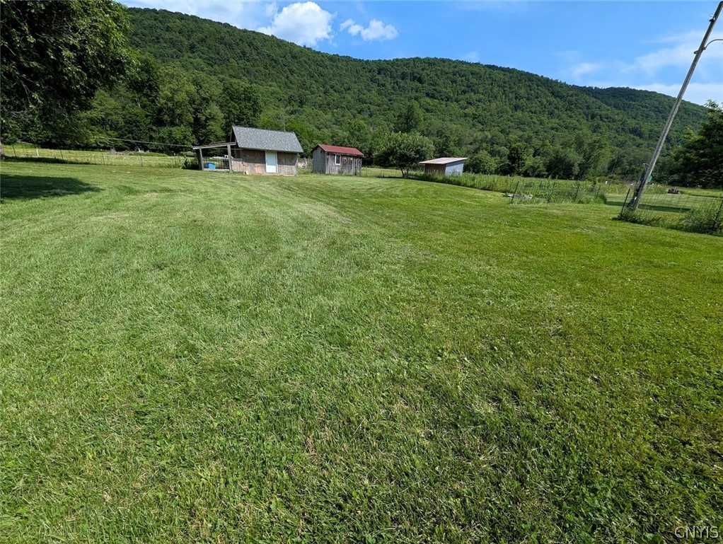 5430 Meads Creek Road Campbell, NY 14870 - Photo 29 of 48