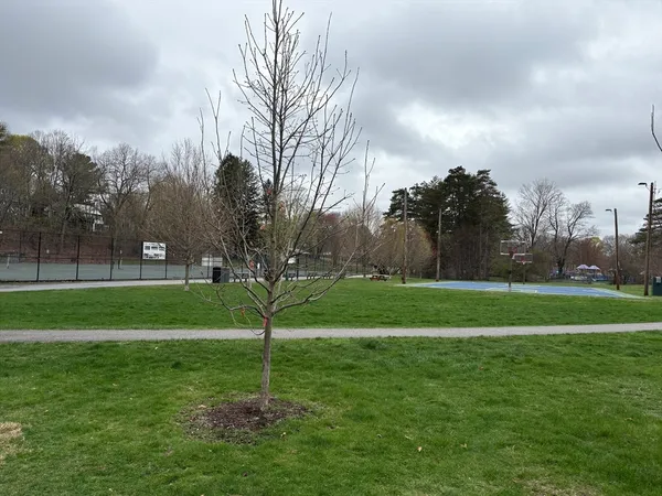 $2,850 | 2 Willow Terrace, Unit 1, Newton, MA 02459