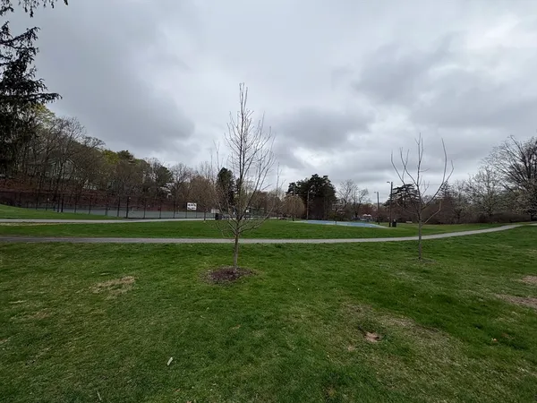 $2,850 | 2 Willow Terrace, Unit 1, Newton, MA 02459