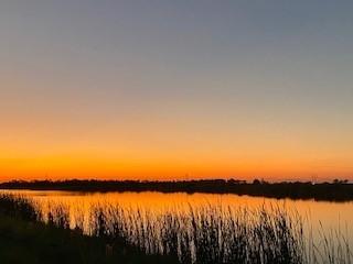 12348 Arabella Drive Port St. Lucie, FL 34987 - Photo 22 of 26 a view of outdoor space and ocean