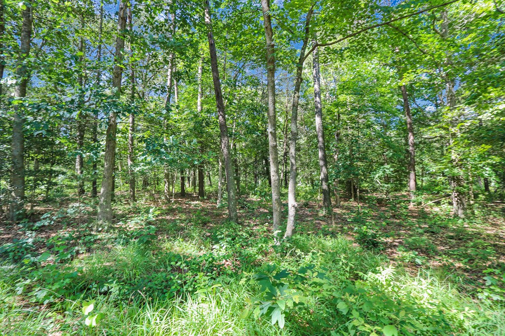 Lot 6 Fleming Road, Unit 6 Horntown, VA 23395 - Photo 14 of 26