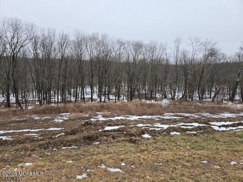 0 Rr 519 Sussex, NJ 07461 - Photo 4 of 8 a view of road with trees