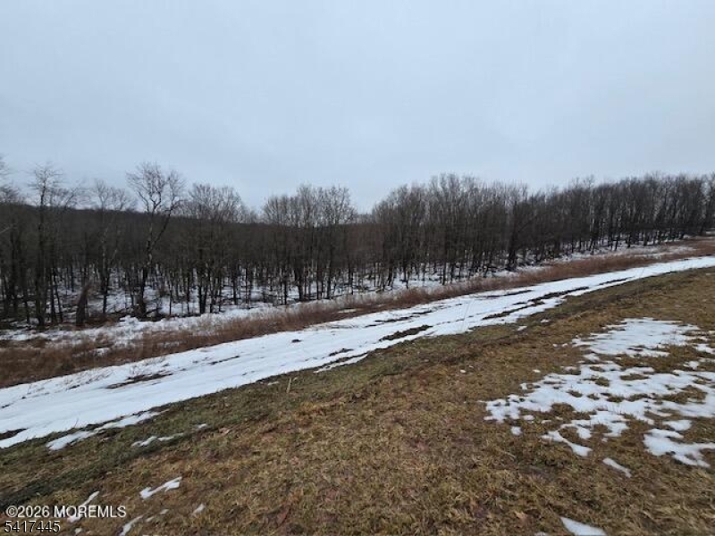 0 Rr 519 Sussex, NJ 07461 - Photo 6 of 8 a view of swimming pool with a yard and lake view
