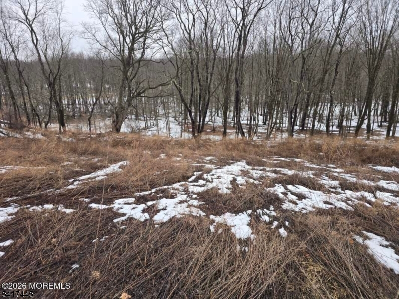 0 Rr 519 Sussex, NJ 07461 - Photo 7 of 8 a view of a forest with trees