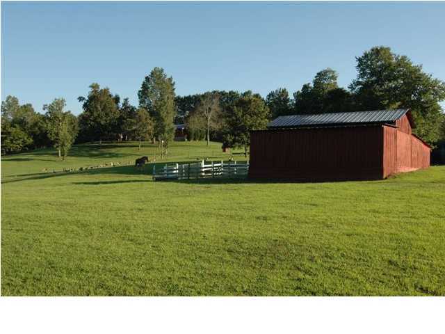 7235 Igou Ferry Road Harrison, TN 37341 - Photo 4 of 9 Additional Photo