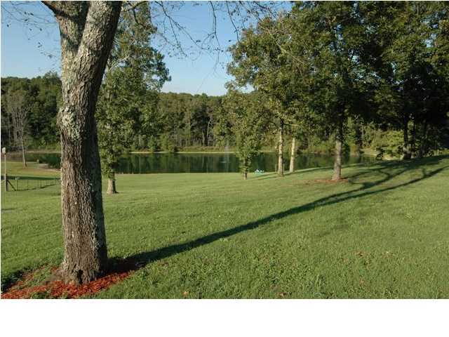 7235 Igou Ferry Road Harrison, TN 37341 - Photo 5 of 9 Additional Photo