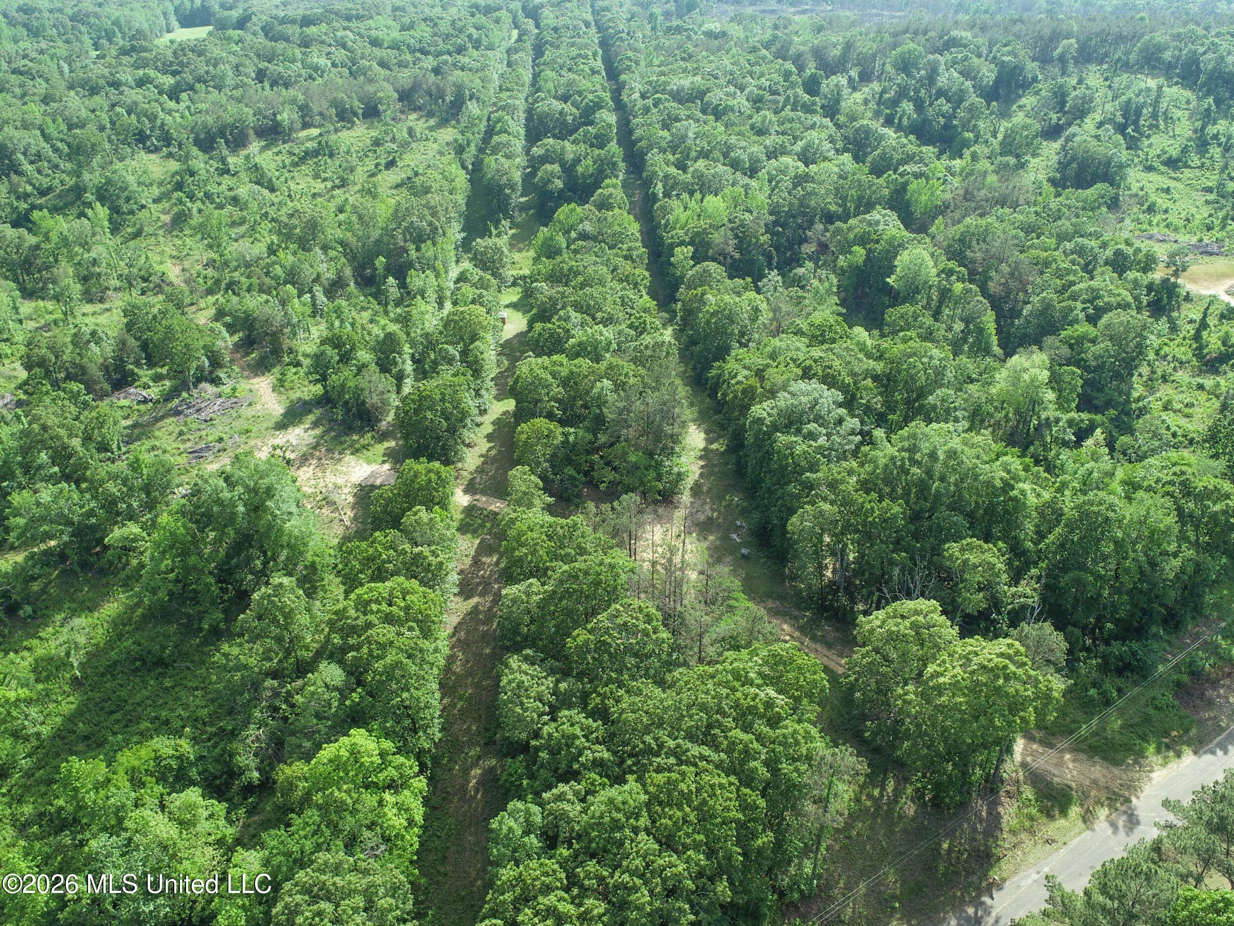 Wayne Massie Road Como, MS 38619 - Photo 60 of 184 3ctwmrd42