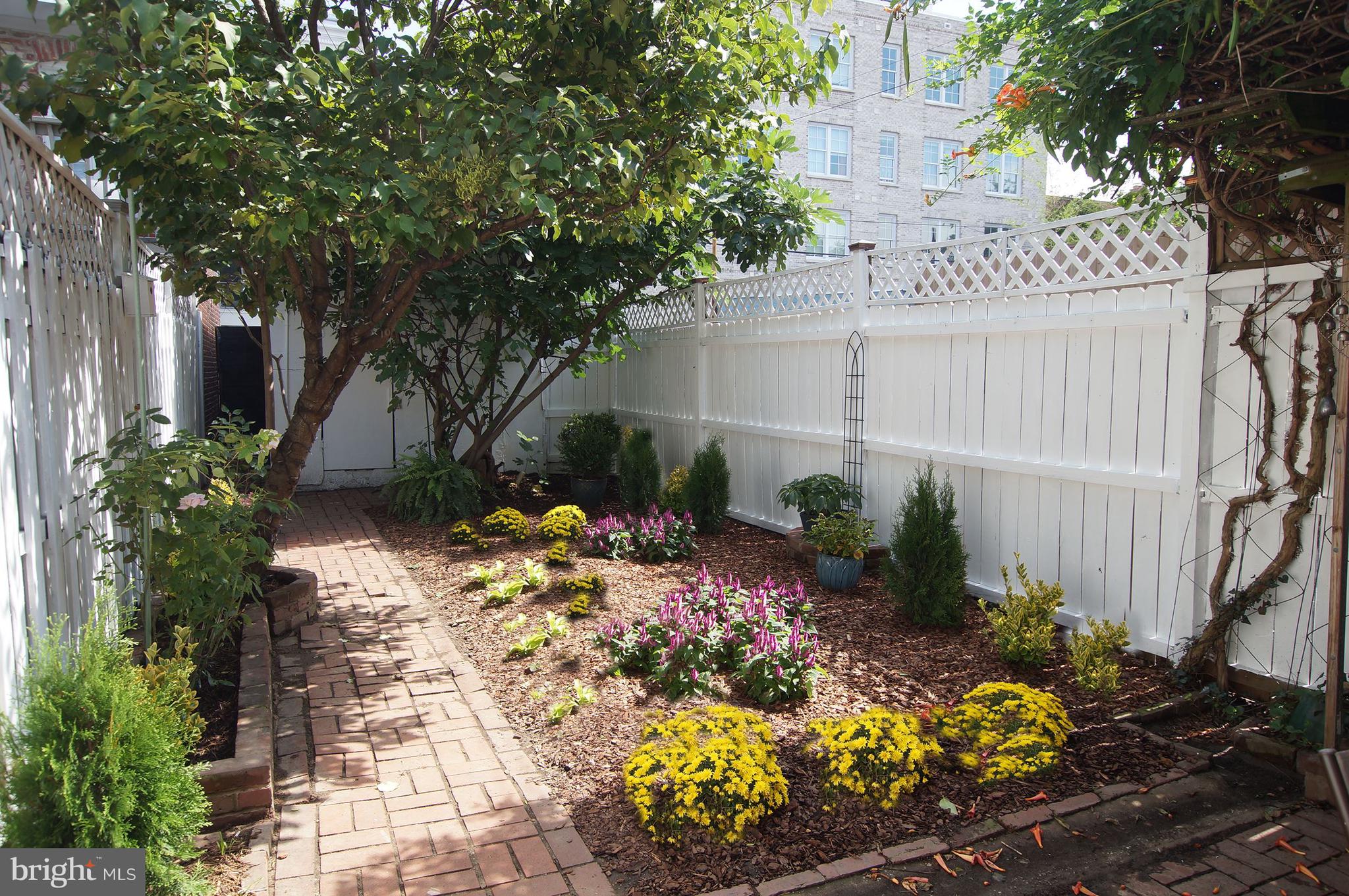 321 7th Street Northeast Washington, DC 20002 - Photo 13 of 35 Garden