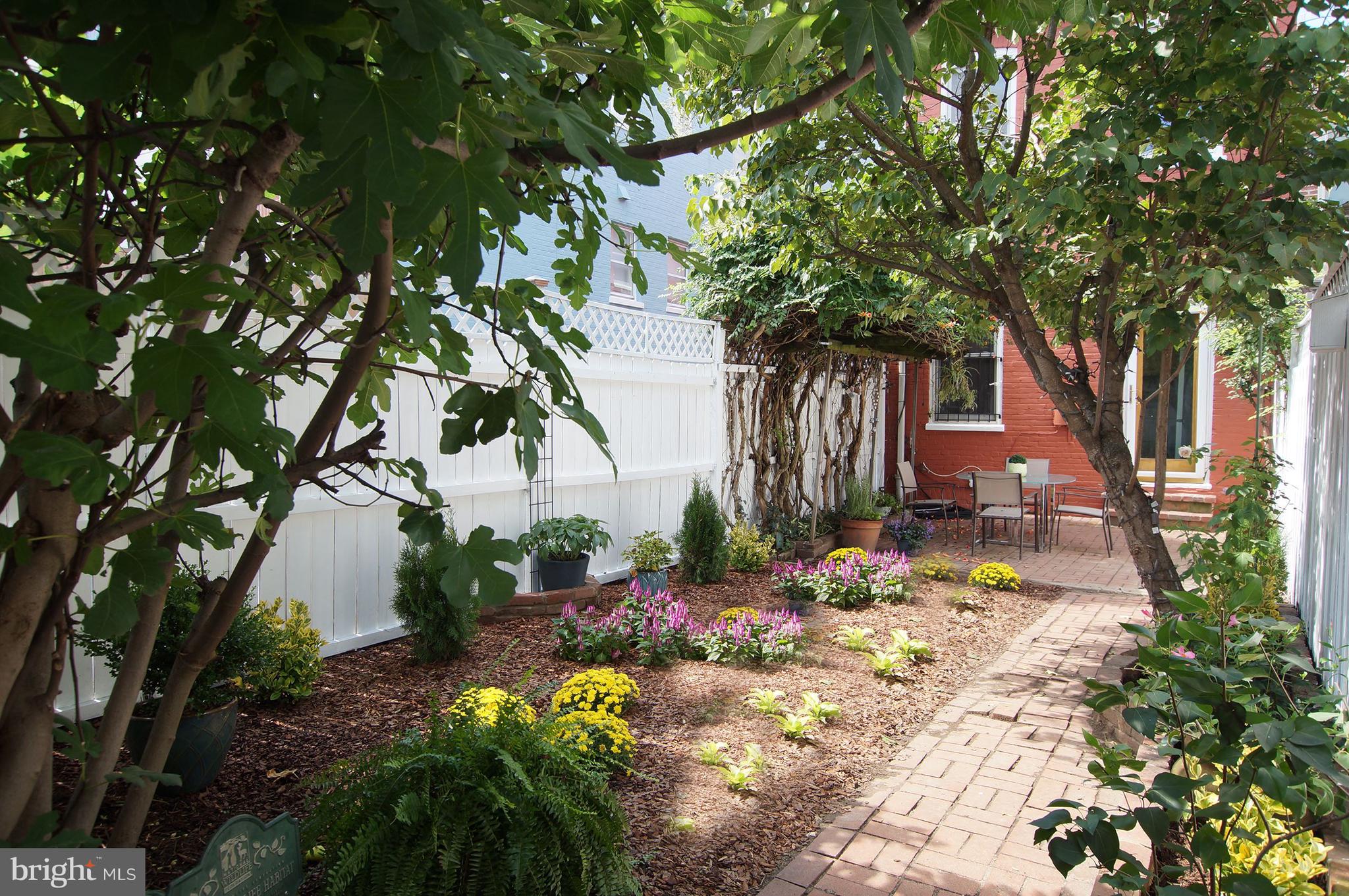 321 7th Street Northeast Washington, DC 20002 - Photo 14 of 35 Garden