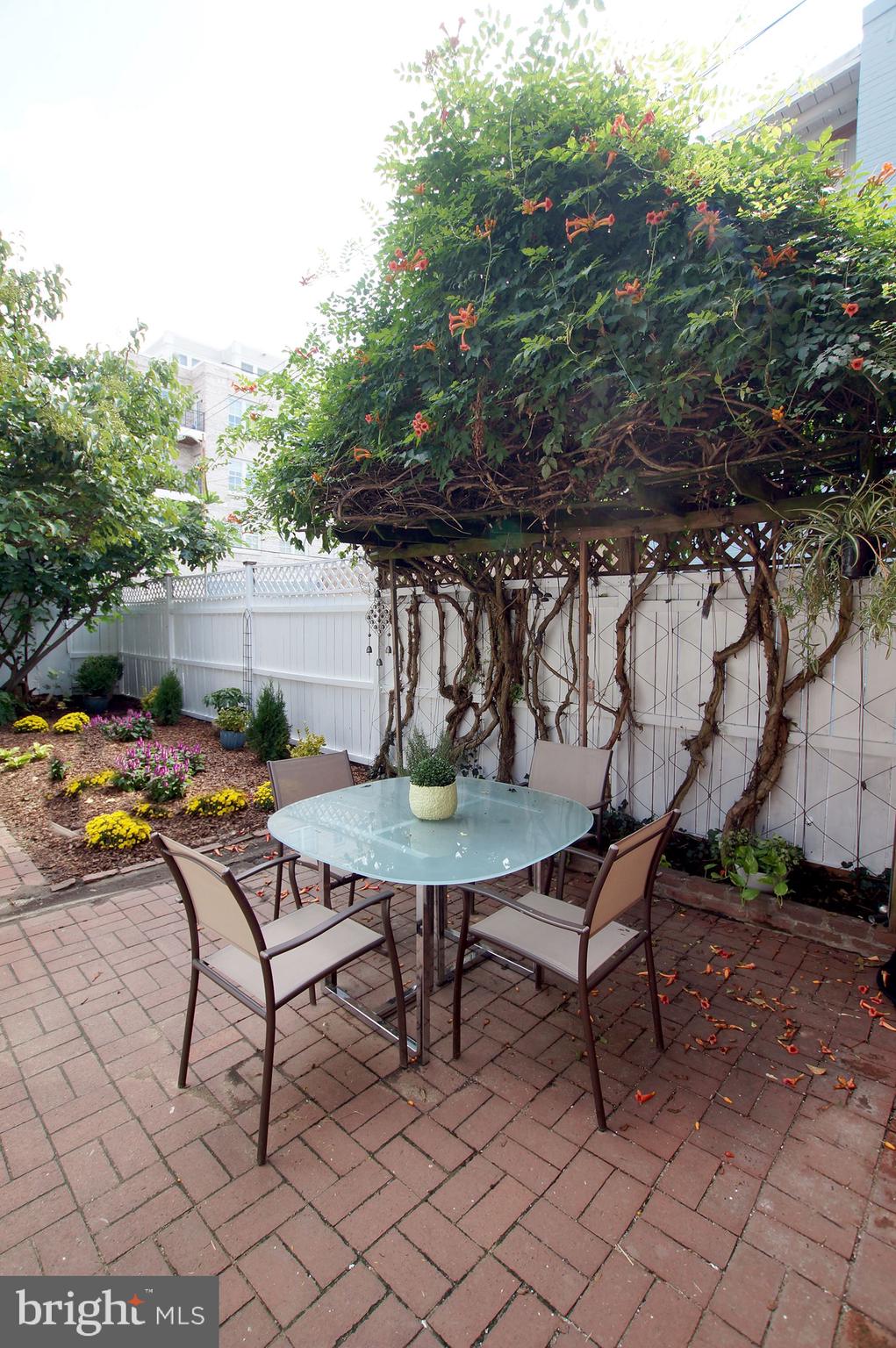 321 7th Street Northeast Washington, DC 20002 - Photo 15 of 35 Garden