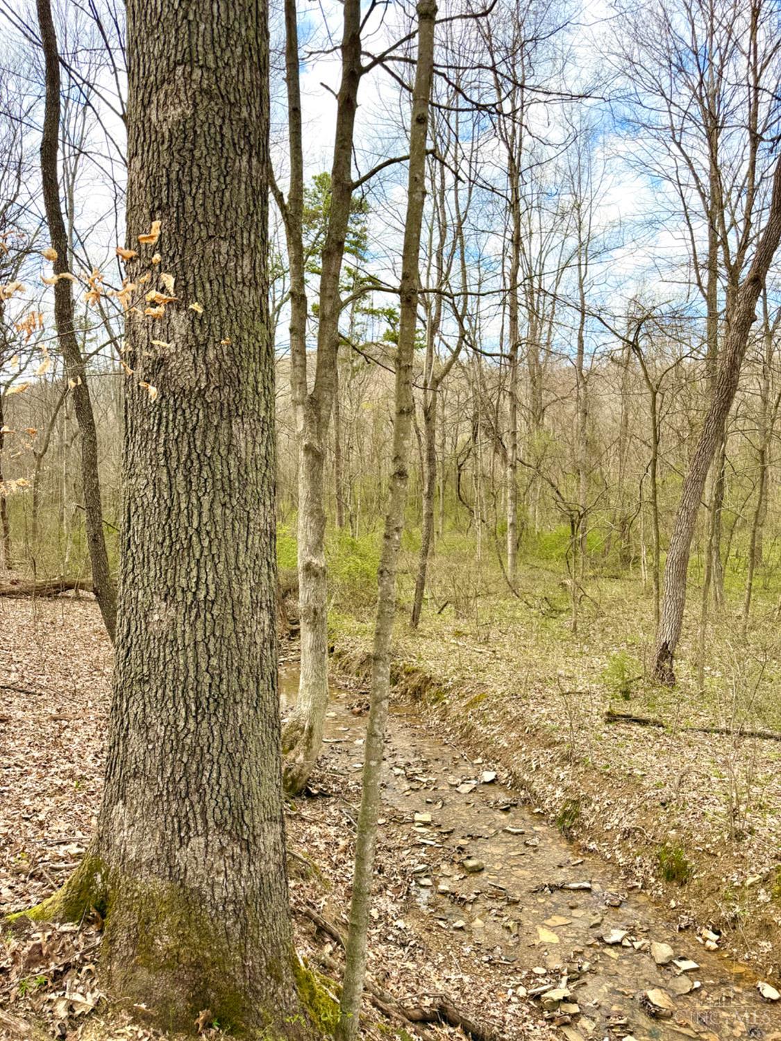 0 Fyffe Hollow Road Chillicothe, OH 45601 - Photo 80 of 96